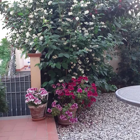 Casa Ortensia Corsanico-Bargecchia