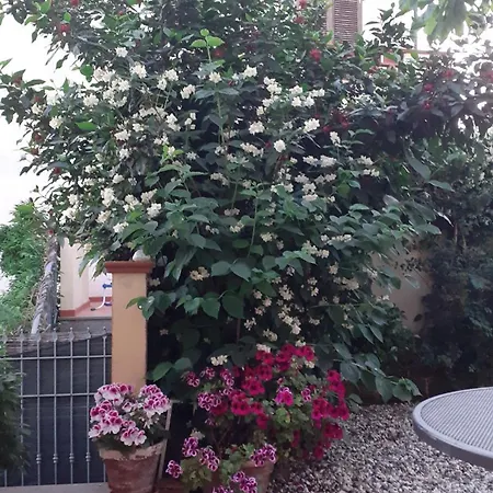 Casa Ortensia * Corsanico-Bargecchia